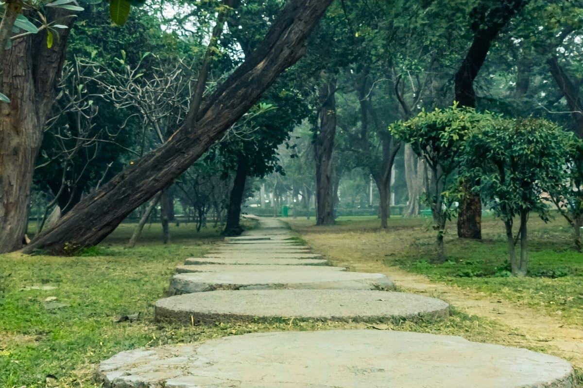 Representative image for Ganga Rivera: a shaded walking path through a green park